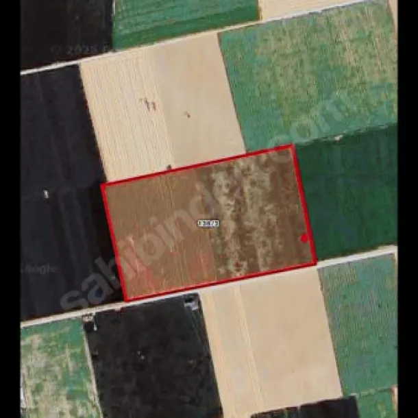 DEV GAYRİMENKULDEN KONYA ÇUMRA İNLİ MAHALLESİNDE  SATILIK 40 DÖNÜM TAR