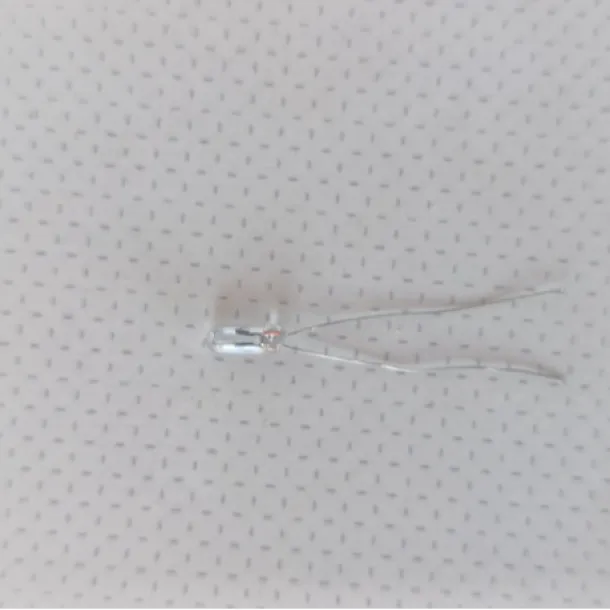 3.3 v Gün Işığı renkli led